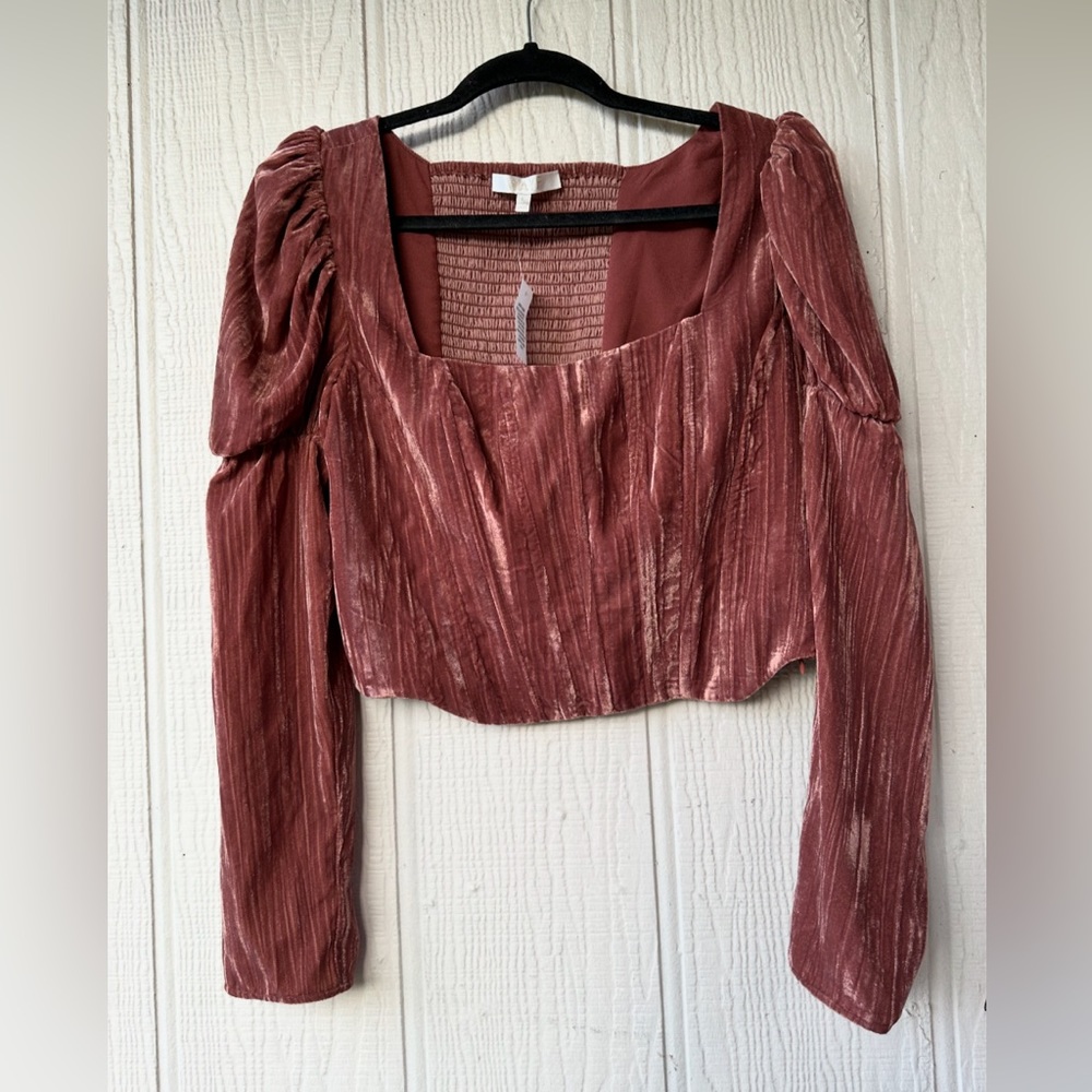 NWOT WAYF Velvet Bustier Top
